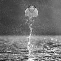 David Yarrow