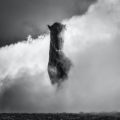 David Yarrow
