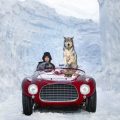 David Yarrow