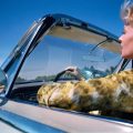 Lawrence Schiller