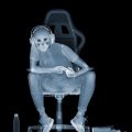 Nick Veasey